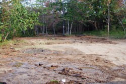 Never seen the water come this far up into the Maria's parking lot area.